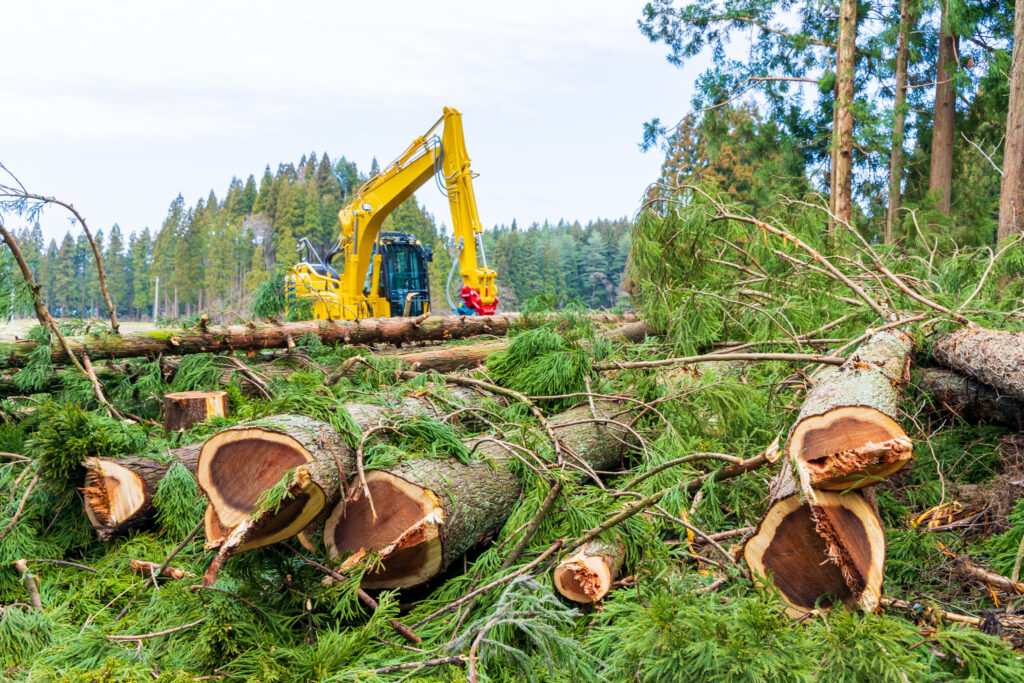 AdobeStock 334065438 1024x683