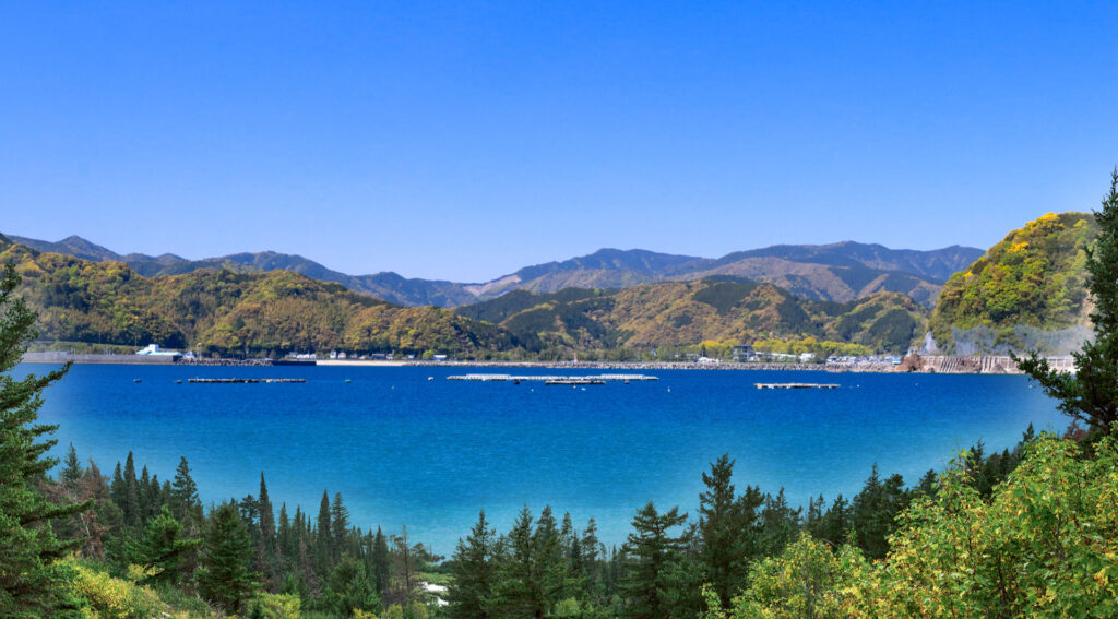 サイトヒーロー画像２